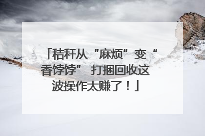 秸秆从“麻烦”变“香饽饽” 打捆回收这波操作太赚了！