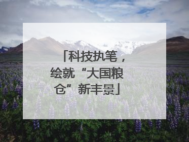 科技执笔，绘就“大国粮仓”新丰景