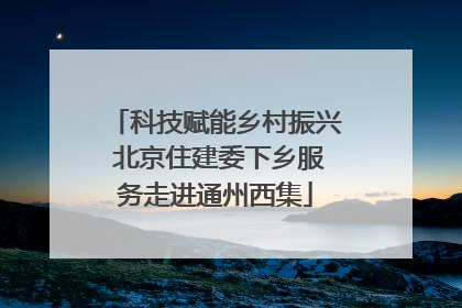 科技赋能乡村振兴 北京住建委下乡服务走进通州西集