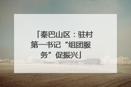 秦巴山区：驻村第一书记“组团服务”促振兴