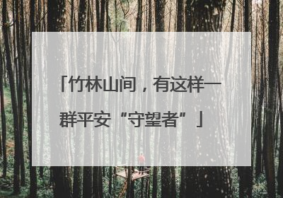 竹林山间，有这样一群平安“守望者”