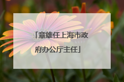 章雄任上海市政府办公厅主任