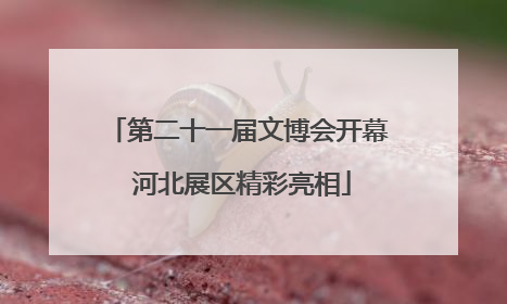 第二十一届文博会开幕 河北展区精彩亮相