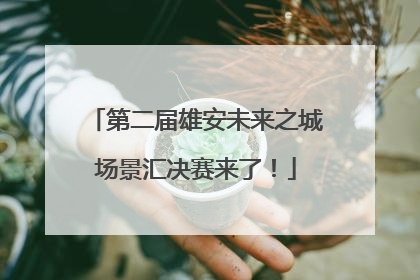第二届雄安未来之城场景汇决赛来了！