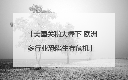 美国关税大棒下 欧洲多行业恐陷生存危机