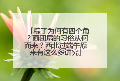 粽子为何有四个角？画团扇的习俗从何而来？西北过端午原来有这么多讲究