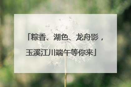 粽香、湖色、龙舟影，玉溪江川端午等你来