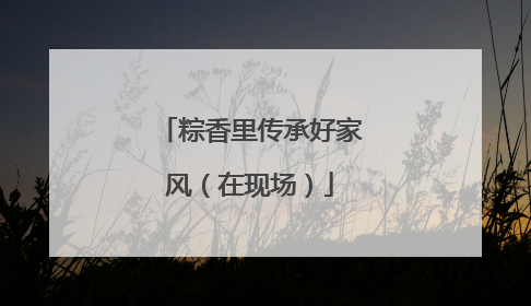 粽香里传承好家风（在现场）