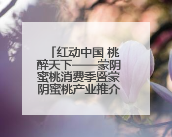红动中国 桃醉天下——蒙阴蜜桃消费季暨蒙阴蜜桃产业推介会成功举办
