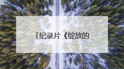 纪录片《绽放的花儿》：共绘融合发展时代画卷