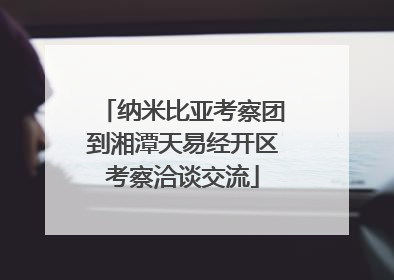 纳米比亚考察团到湘潭天易经开区考察洽谈交流