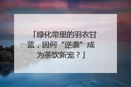 绿化带里的羽衣甘蓝，因何“逆袭”成为茶饮新宠？