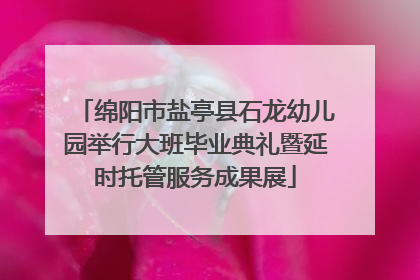 绵阳市盐亭县石龙幼儿园举行大班毕业典礼暨延时托管服务成果展