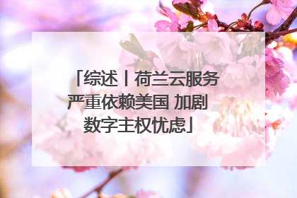 综述丨荷兰云服务严重依赖美国 加剧数字主权忧虑