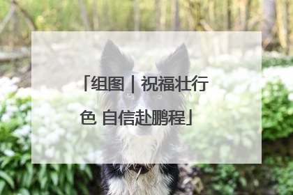 组图|祝福壮行色 自信赴鹏程