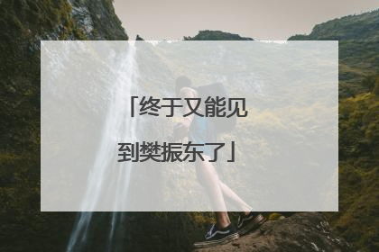 终于又能见到樊振东了
