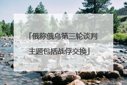 俄称俄乌第三轮谈判主题包括战俘交换