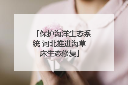 保护海洋生态系统 河北推进海草床生态修复