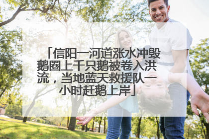信阳一河道涨水冲毁鹅圈上千只鹅被卷入洪流，当地蓝天救援队一小时赶鹅上岸