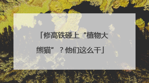 修高铁碰上“植物大熊猫”？他们这么干