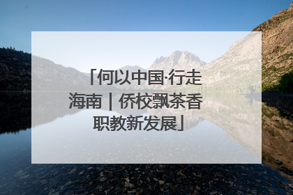 何以中国·行走海南｜侨校飘茶香 职教新发展