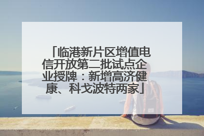 临港新片区增值电信开放第二批试点企业授牌：新增高济健康、科戈波特两家