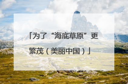 为了“海底草原”更繁茂（美丽中国）