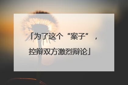 为了这个“案子”，控辩双方激烈辩论