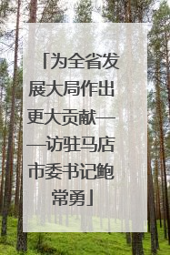 为全省发展大局作出更大贡献——访驻马店市委书记鲍常勇