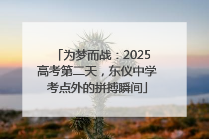 为梦而战：2025高考第二天，东仪中学考点外的拼搏瞬间