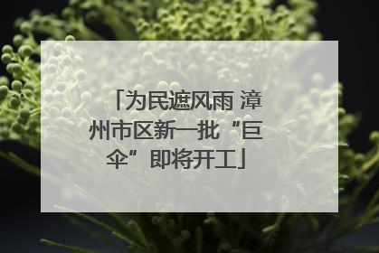 为民遮风雨 漳州市区新一批“巨伞”即将开工