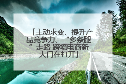 主动求变、提升产品竞争力、“多条腿”走路 跨境电商新大门在打开