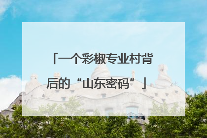 一个彩椒专业村背后的“山东密码”