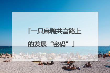 一只麻鸭共富路上的发展“密码”