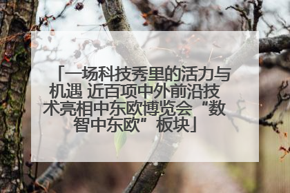 一场科技秀里的活力与机遇 近百项中外前沿技术亮相中东欧博览会“数智中东欧”板块