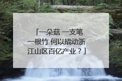 一朵菇 一支笔 一根竹 何以撬动浙江山区百亿产业？