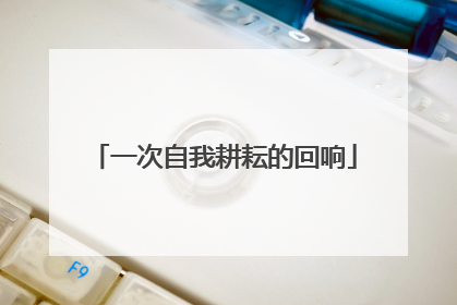 一次自我耕耘的回响
