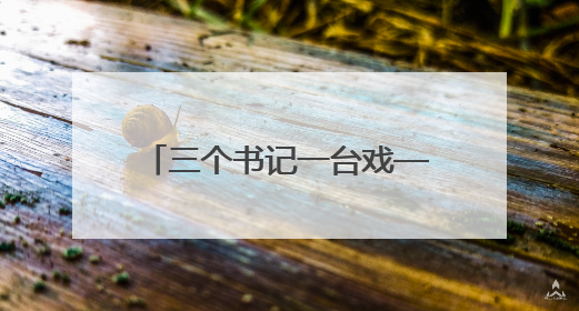 三个书记一台戏——看泗水县金庄镇辛庄村如何强村富民