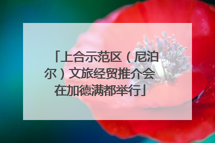 上合示范区（尼泊尔）文旅经贸推介会在加德满都举行