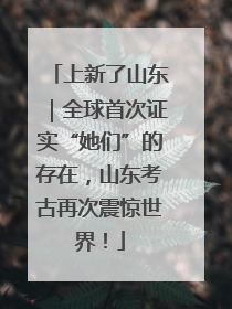 上新了山东｜全球首次证实“她们”的存在，山东考古再次震惊世界！