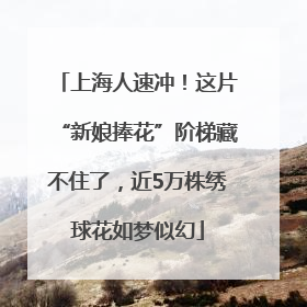 上海人速冲！这片“新娘捧花”阶梯藏不住了，近5万株绣球花如梦似幻