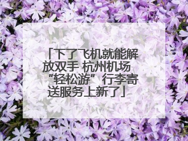 下了飞机就能解放双手 杭州机场“轻松游”行李寄送服务上新了