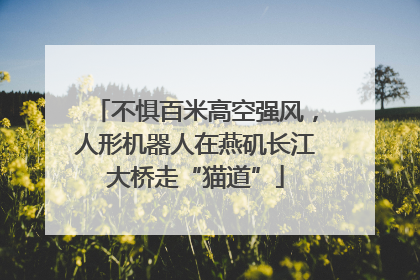 不惧百米高空强风，人形机器人在燕矶长江大桥走“猫道”