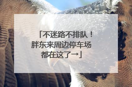 不迷路不排队！胖东来周边停车场都在这了→