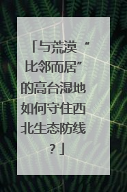 与荒漠“比邻而居”的高台湿地如何守住西北生态防线？