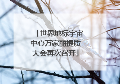 世界地标宇宙中心万家丽提质大会再次召开