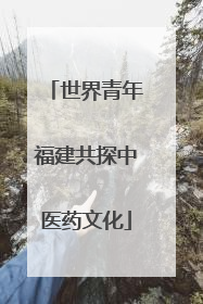 世界青年福建共探中医药文化