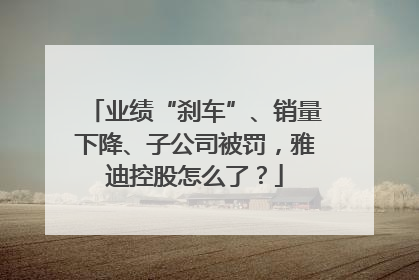 业绩“刹车”、销量下降、子公司被罚，雅迪控股怎么了？