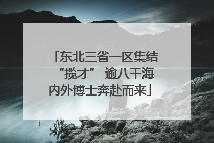东北三省一区集结“揽才” 逾八千海内外博士奔赴而来