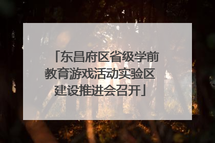 东昌府区省级学前教育游戏活动实验区建设推进会召开